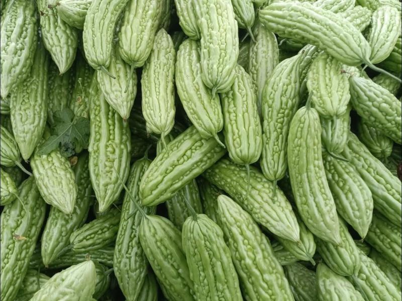 thac-mac-muop-dang-bao-nhieu-calo