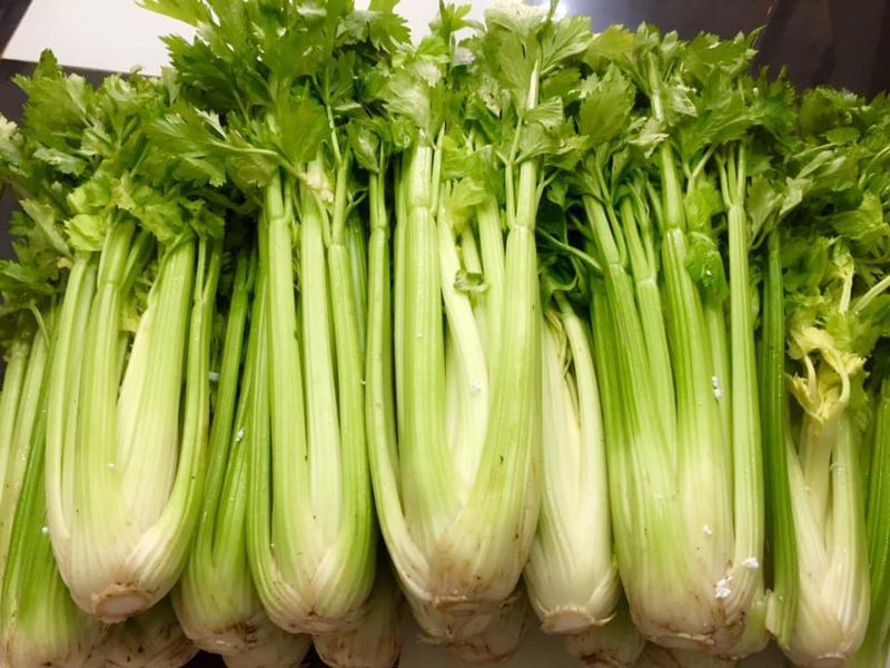 tim-hieu-can-tay-bao-nhieu-calo