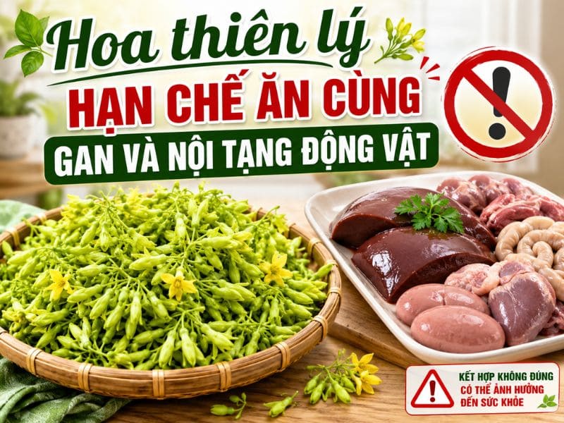 tim-hieu-hoa-thien-ly-ky-voi-gi