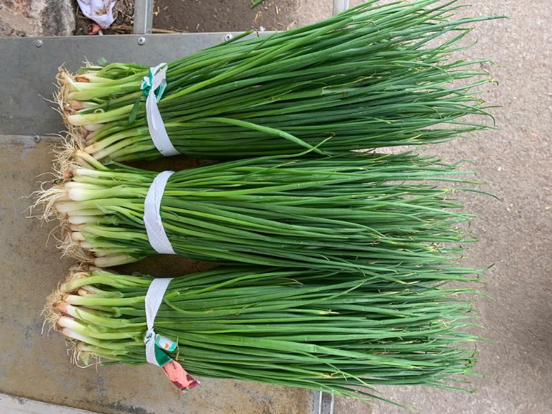 ban-khoan-dau-phu-ky-gi