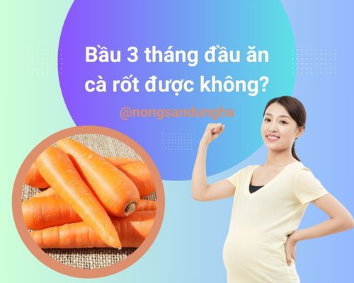 bau-3-thang-dau-an-ca-rot-duoc-khong