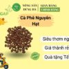 ca-phe-nguyen-hat-nong-san-dung-ha