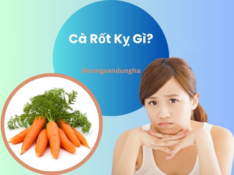 ca-rot-ky-gi-ban-co-biet-chua