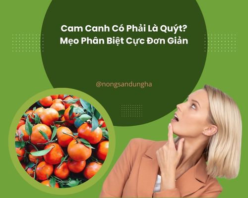 cam-canh-co-phai-la-quyt