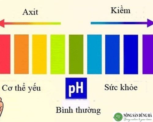 chanh-vang-can-bang-ph