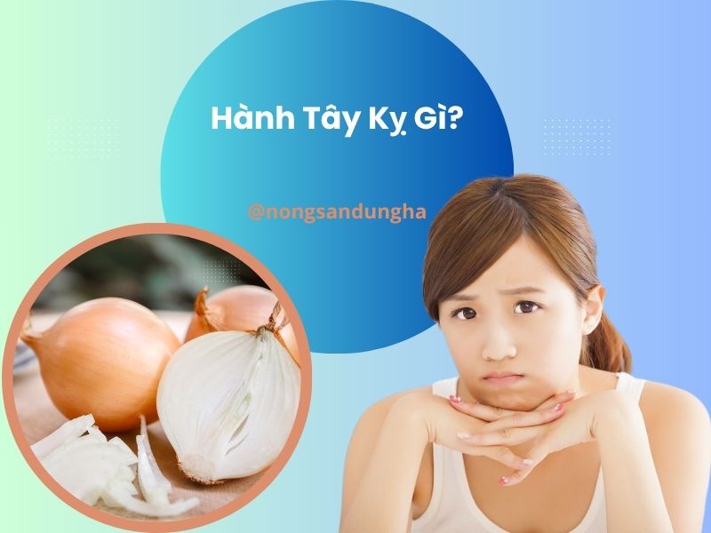 hanh-tay-ky-gi