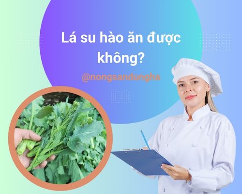 la-su-hao-an-duoc-khong