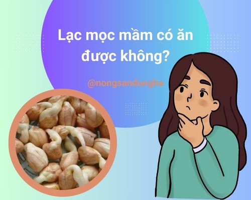 lac-moc-mam-co-an-duoc-khong