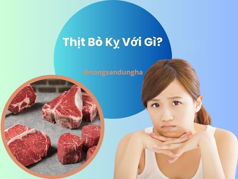 thit-bo-ky-voi-gi