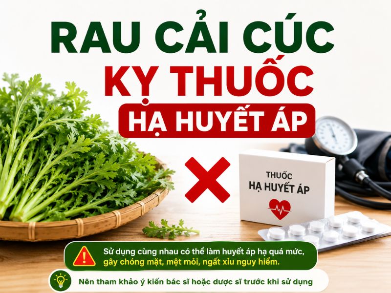 tim-hieu-rau-cai-cuc-ky-voi-gi-1