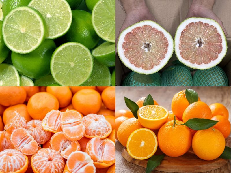 tra-loi-dau-phu-ky-gi