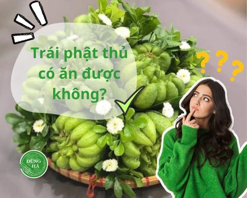 trai-phat-thu-co-an-duoc-khong