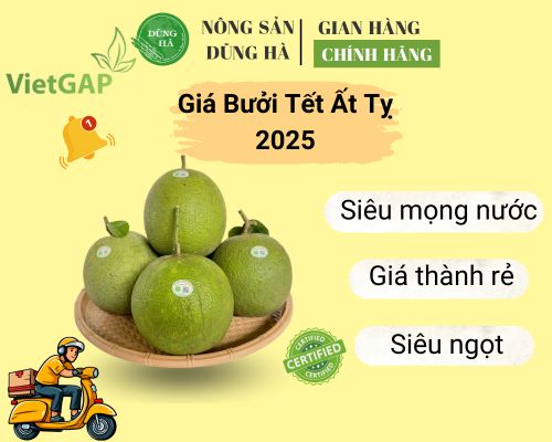 gia-buoi-tet-at-ty-2025