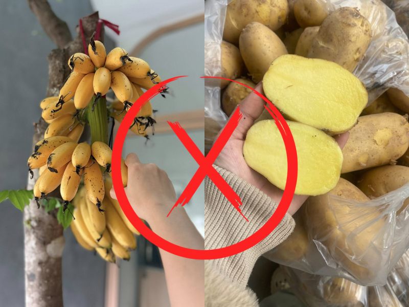 goc-thac-mac-khoai-tay-ky-voi-gi