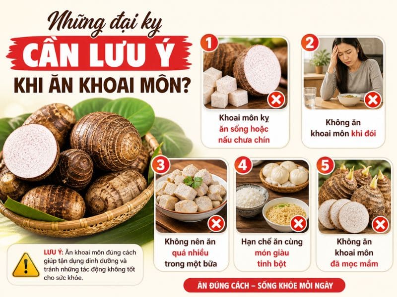 tim-hieu-khoai-mon-ky-voi-gi