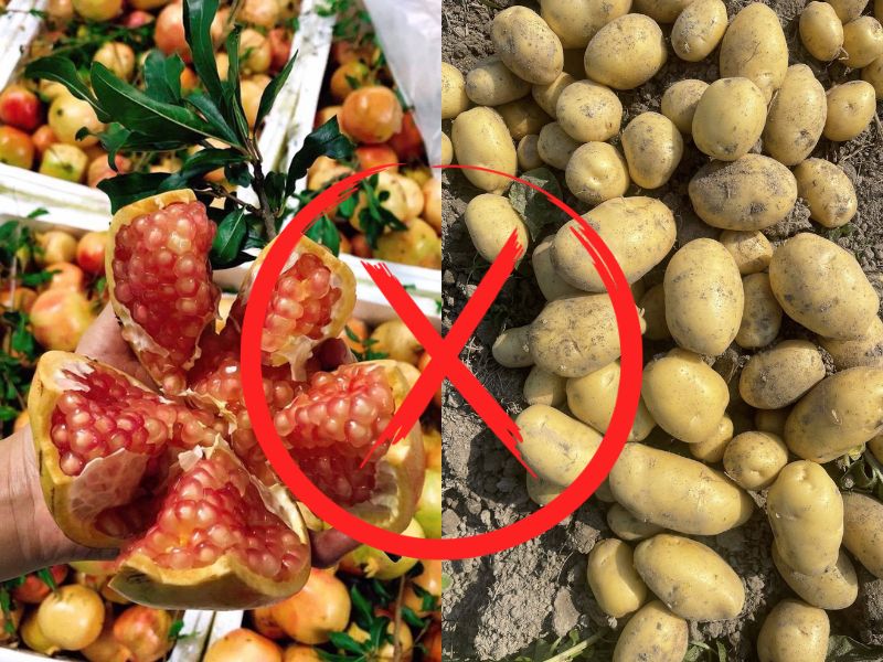 tim-hieu-khoai-tay-ky-voi-gi