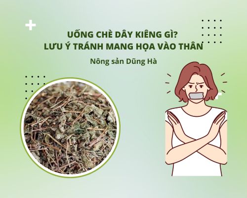 uong-che-day-kieng-gi