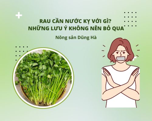 rau-can-nuoc-ky-voi-gi