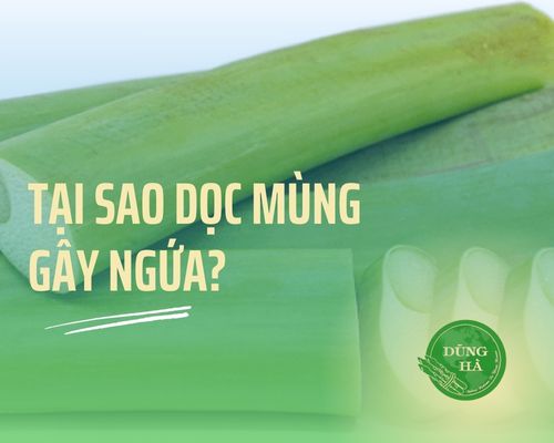 tai-sao-doc-mung-gay-ngua