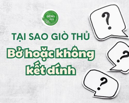 tai-sao-gio-thu-bo-hoac-khong-ket-dinh