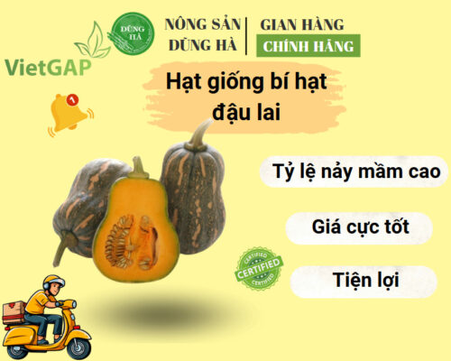 Hat-giong-bi-dau-hat-lai