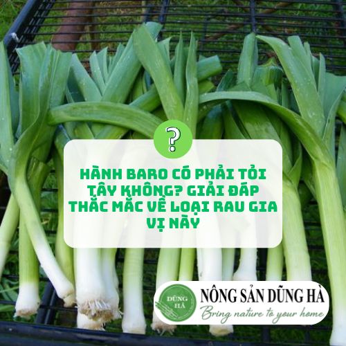 hanh-baro-co-phai-toi-tay-khong