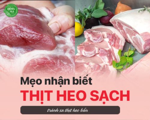 meo-phan-biet-thit-heo-sach