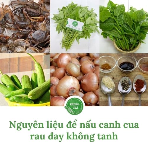 nguyen-lieu-de-nau-canh-cua-rau-day-khong-tanh