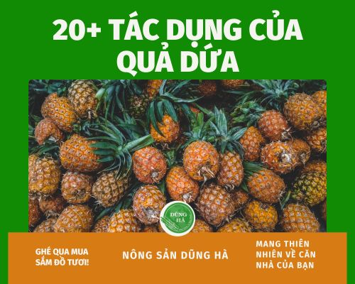 tac-dung-cua-qua-dua