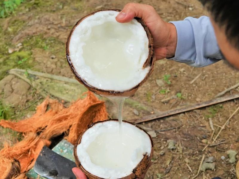 bat-mi-gia-dua-sap-tra-vinh-hien-nay