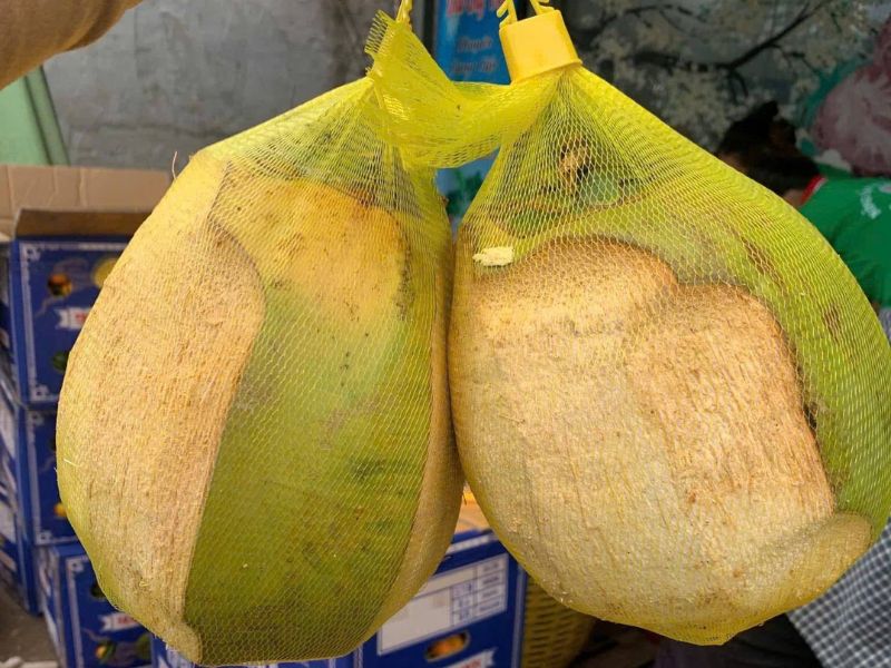 gia-dua-sap-tra-vinh-nguyen-trai