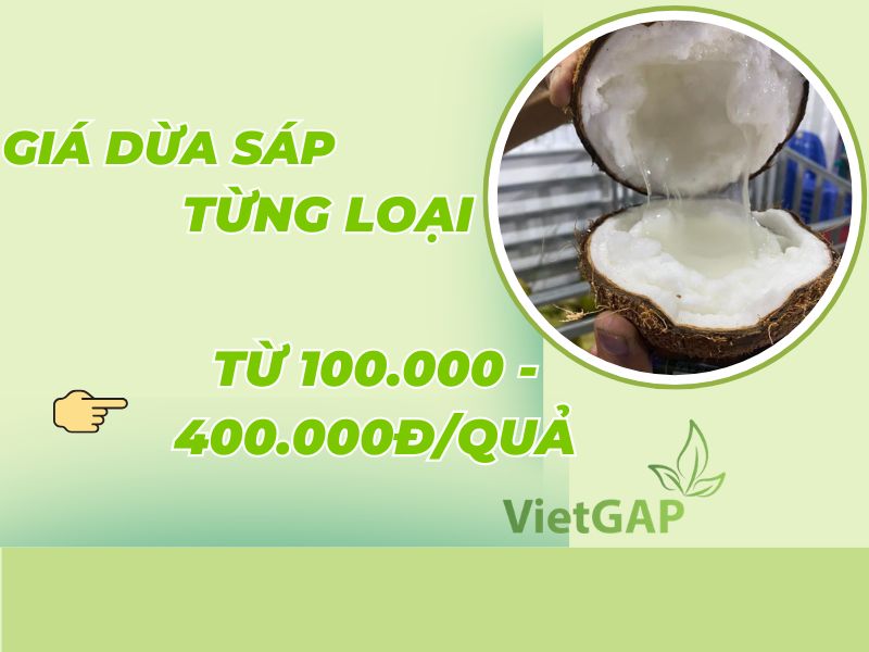 gia-dua-sap-tra-vinh-theo-tung-loai