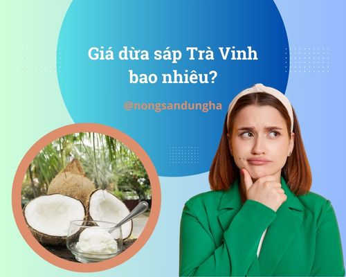 gia-dua-sap-tra-vinh