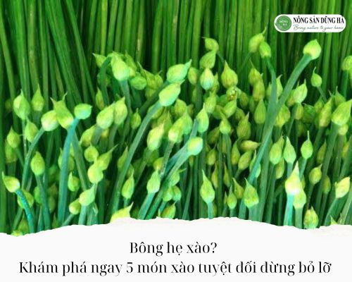 Bong-he-xao
