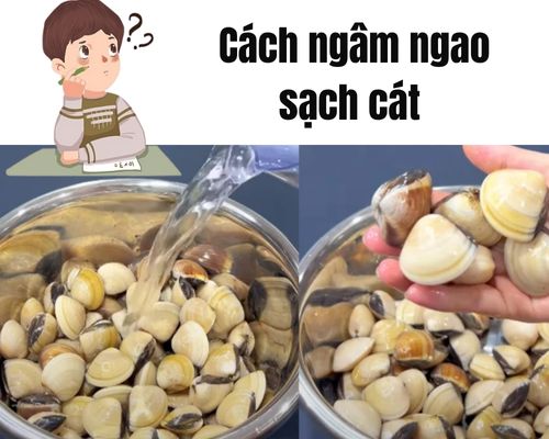 Cach-ngam-ngao-sach-cat