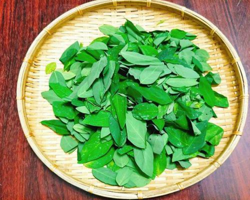 Cach-su-dung-rau-ngot