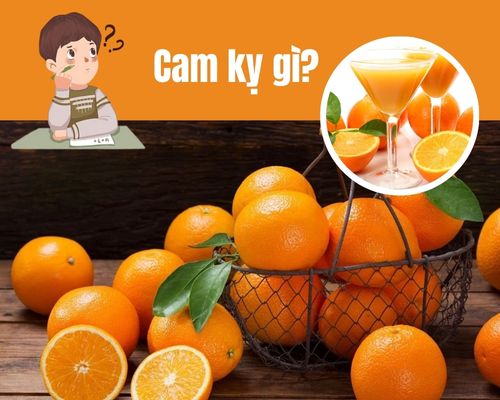 Cam-ky-gi