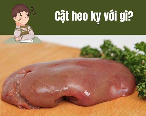 Cat-heo-ky-voi-gi