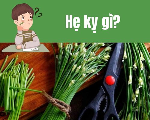 He-ky-gi