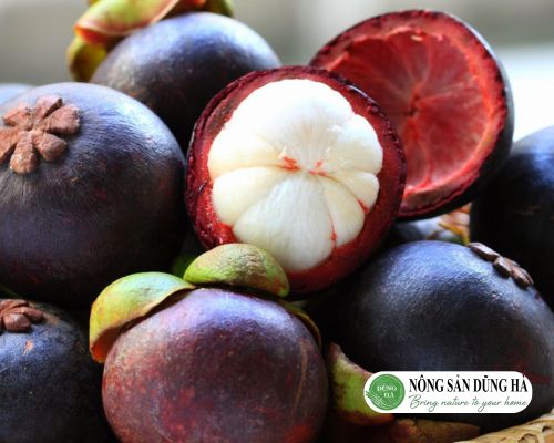 Mang-cut-la-mot-loai-trai-cay-nhiet-doi-thuoc-ho-Bua
