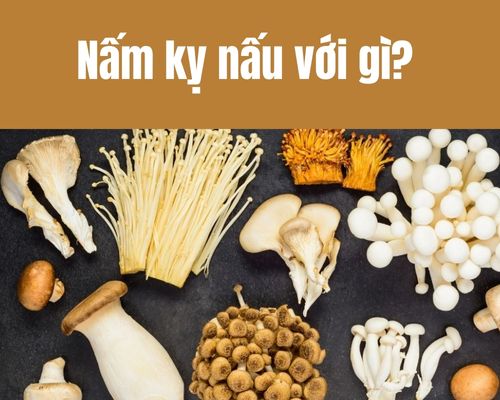Nam-ky-nau-voi-gi