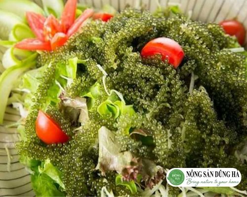 Salad-rong-nho