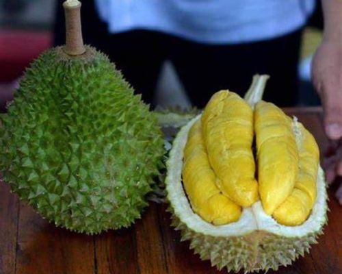 Sau-rieng-Musang-King