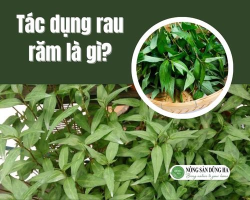 Tac-dung-rau-ram
