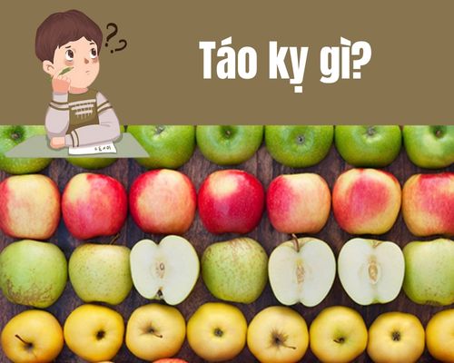 Tao-ky-gi