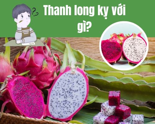 Thanh-long-ky-voi-gi