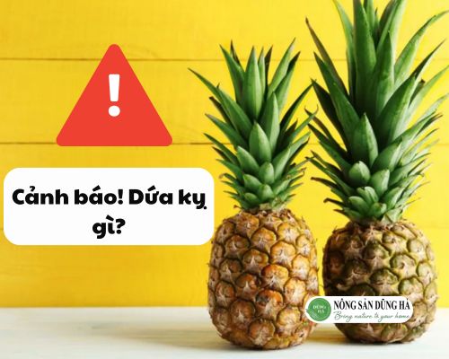 Tim-hieu-dua-ky-gi