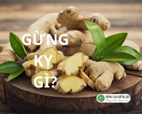 Tim-hieu-gung-ky-gi