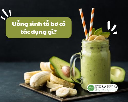 Uong-sinh-to-bo-co-tac-dung-gi
