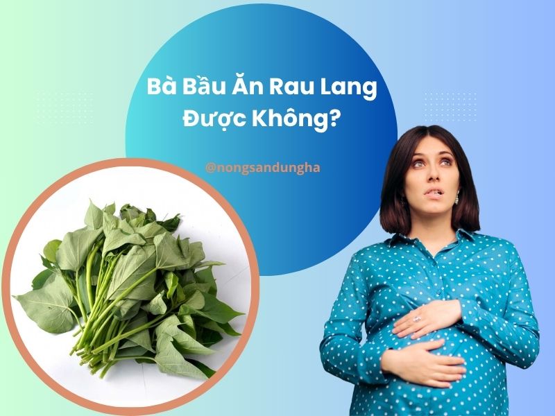 ba-bau-an-rau-lang-duoc-khong